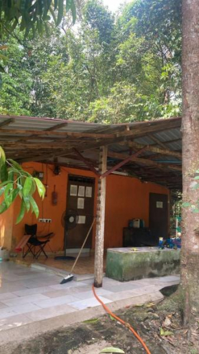 Campsite House In a Farm